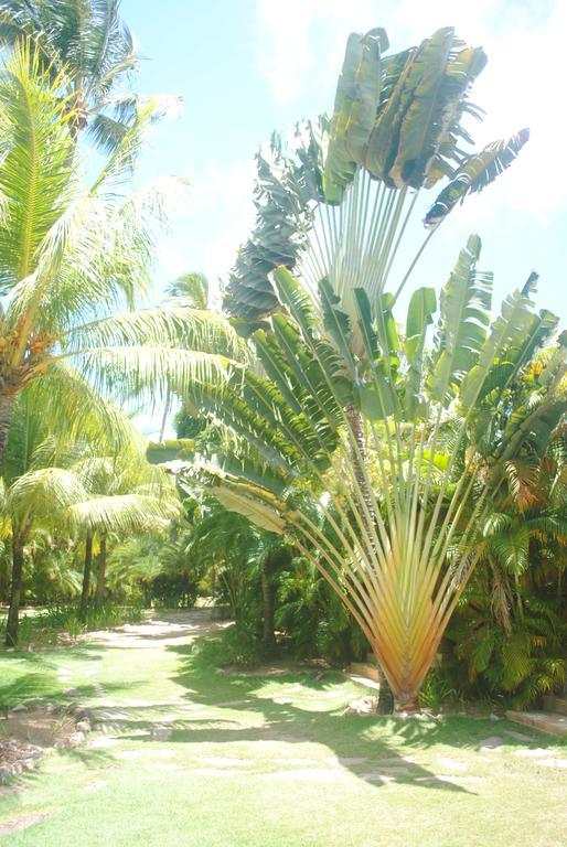 Casa Girassois Villa Praia de Pipa Ngoại thất bức ảnh