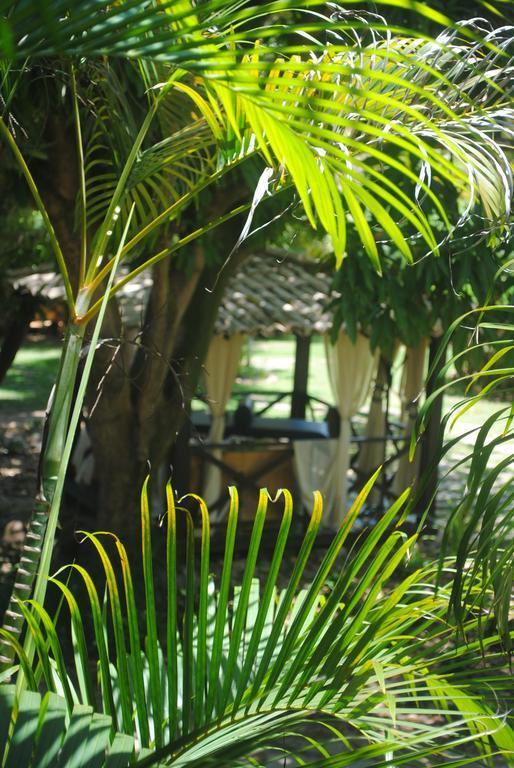 Casa Girassois Villa Praia de Pipa Ngoại thất bức ảnh
